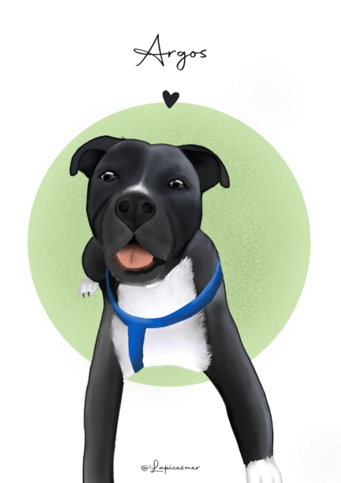 Ilustración_sin_título 2 (1)