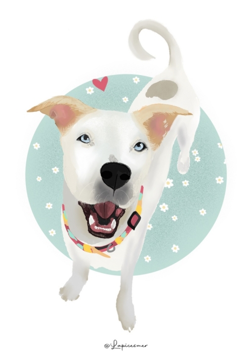 Ilustración_sin_título 3