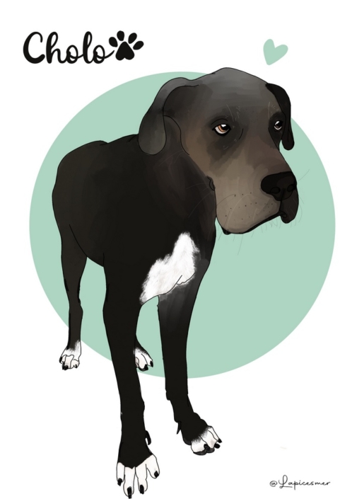 Ilustración_sin_título 4