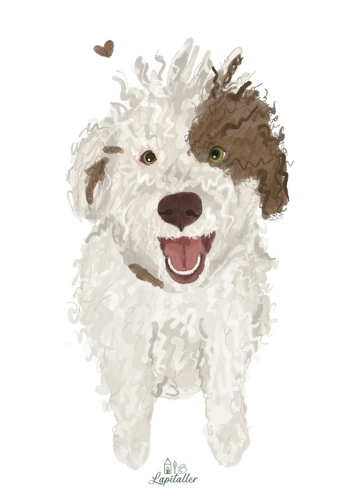 Ilustración_sin_título (4)