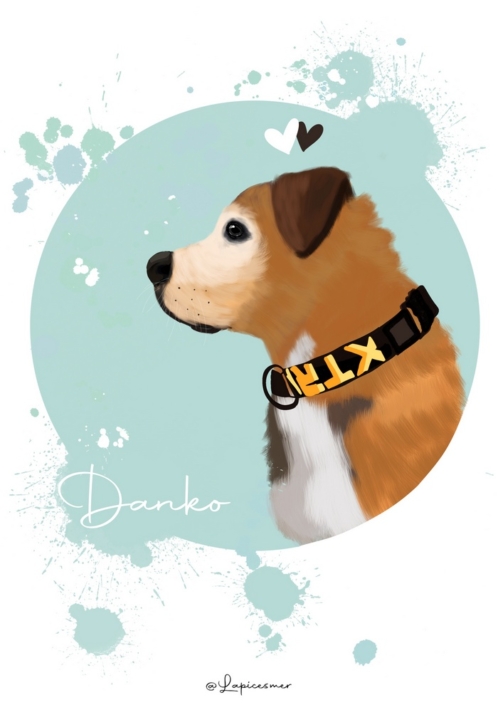 Ilustración_sin_título 5 (1)